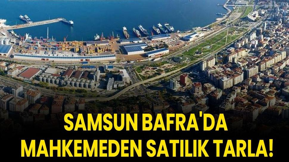 Samsun Bafra'da mahkemeden satılık tarla!