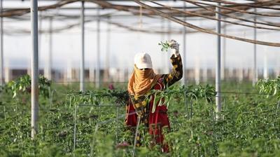 16 kalemin �n� a��ld�! T�rkiye, dost �lke ile engelleri a�t�