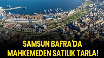 Samsun Bafra'da mahkemeden sat�l�k tarla!