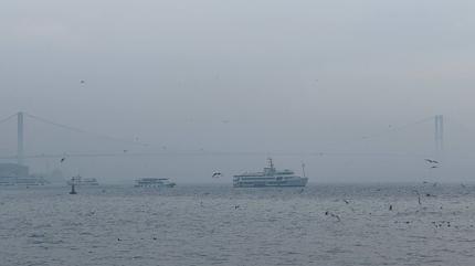 Megakenti sis esir ald�