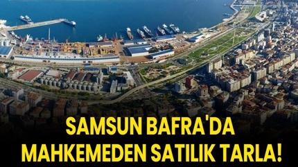 Samsun Bafra'da mahkemeden sat�l�k tarla!