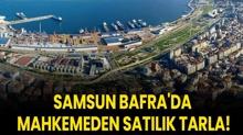 Samsun Bafra'da mahkemeden sat�l�k tarla!
