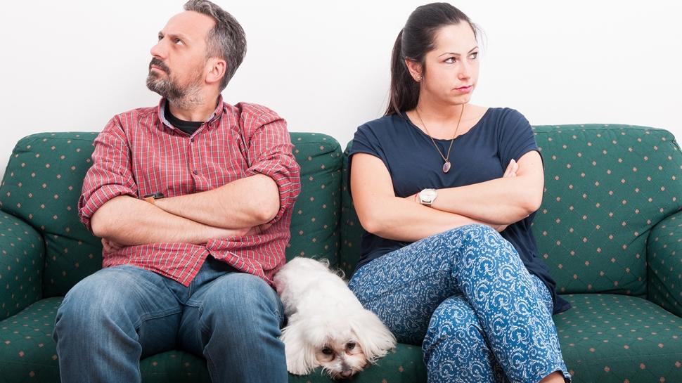 Velayeti erkekte hafta sonu kadında! Boşanma davasında köpek ‘Poni' kararı