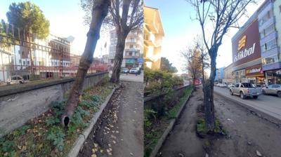 Trabzon B�y�k�ehir Belediyesi'nden iddialara yalanlama