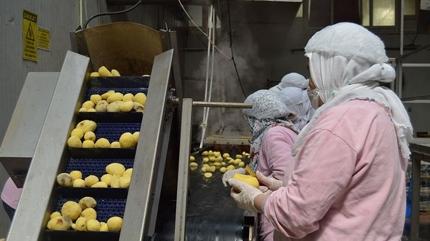 81 ilde d��meye bas�ld�! Bakanl�k sahaya iniyor