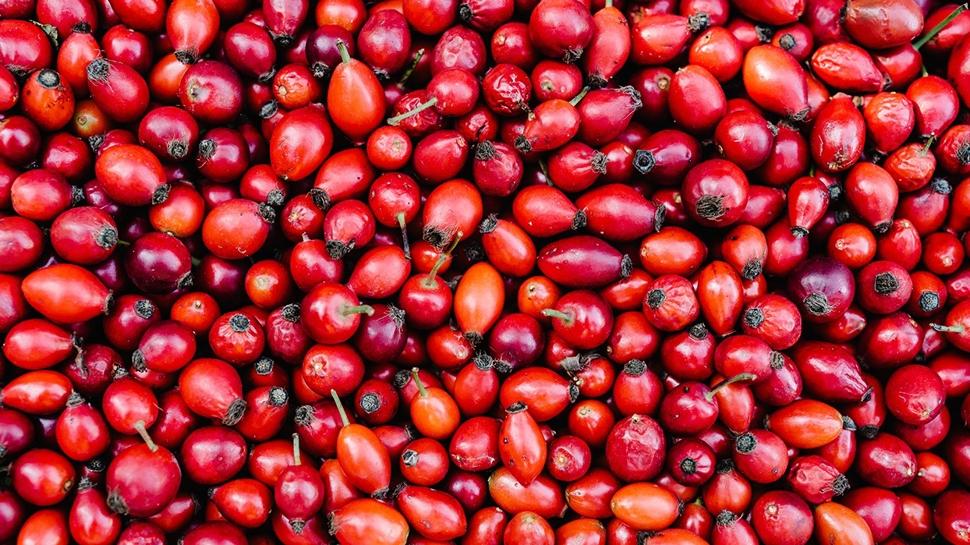 Etkisi tüm kış sürüyor! Vitamini fullüyor, bağışıklık sistemine derman oluyor