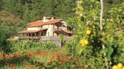 Do�ada ya�am konsepti