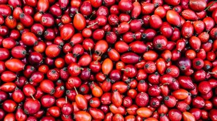 Etkisi t�m k�� s�r�yor! Vitamini full�yor, ba����kl�k sistemine derman oluyor