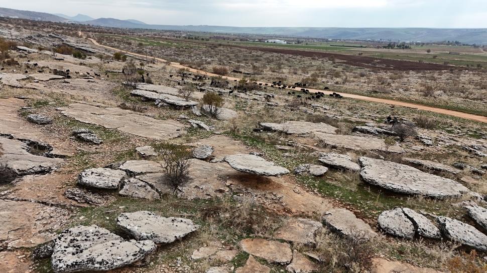 Tam 6 milyon yıl önceye ait: Buzul çağ kalıntıları ortaya çıktı
