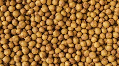 �nfluenzaya kar�� en etkili meyve: V�cuttan iltihab� s�k�p at�yor, antioksidan deposu