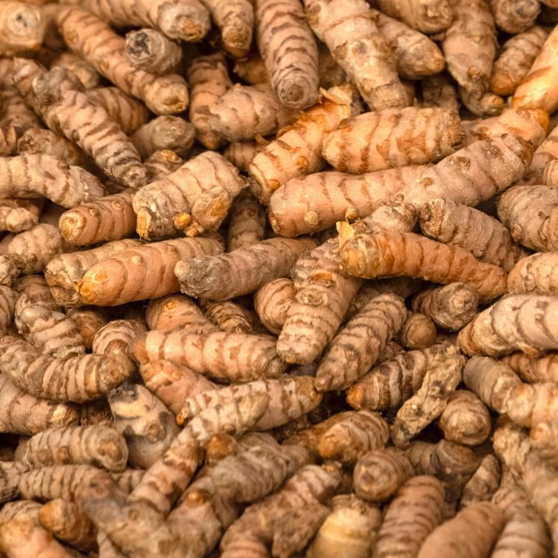 Enfeksiyonla m�cadelede 1 numaralar: Klinik veriler a��klad�