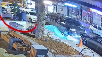 Ak�llara durgunluk veren h�rs�zl�k... Parktan a�ac� b�yle �ald�lar