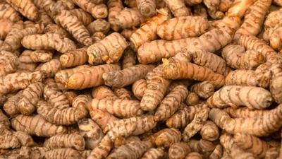 Enfeksiyonla m�cadelede 1 numaralar: Klinik veriler a��klad�