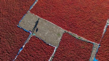 Do�al antioksidan deposu: �ster �i� ister pi�mi� t�ket! Kalp krizi riskini azalt�yor