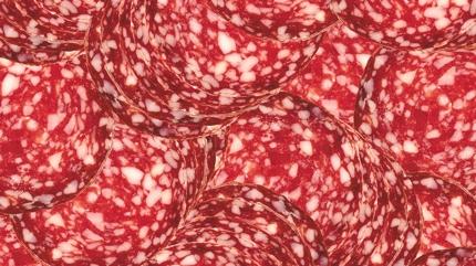 Herkesin g�nl�k t�ketti�i 4 besin: Me�er beyni sessizce ��r�t�yormu�