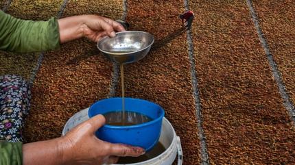 Kefir ve kay�s�n�n pabucunu dama att�: As�l kab�zl�k ilac� ortaya ��kt�, me�er herkesin evinde varm��