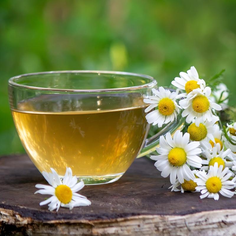 Antidepresan de�il bitki �ay�: Uykuya ge�i�i kolayla�t�r�yor