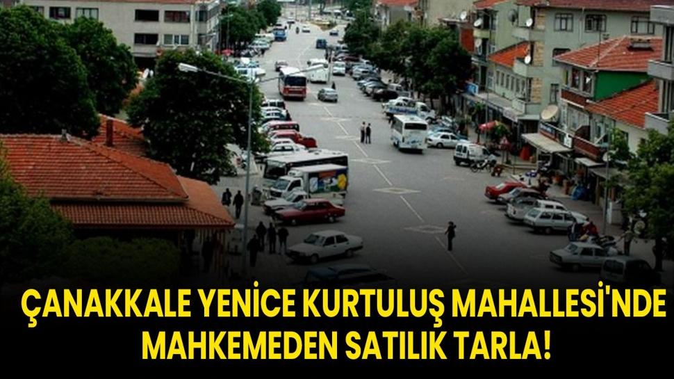 Çanakkale Yenice Kurtuluş Mahallesi'nde mahkemeden satılık tarla!