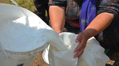 Bal�ktan fazla protein i�eriyor! Kahvalt�da mutlaka t�ketin: Kalsiyum deposu, kemikleri g��lendiriyor