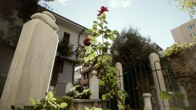 �Bursev�'nin �zinde� Belgeseli TV'de �lk Kez TRT 2'de