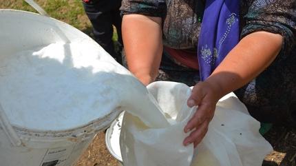 Bal�ktan fazla protein i�eriyor! Kahvalt�da mutlaka t�ketin: Kalsiyum deposu, kemikleri g��lendiriyor