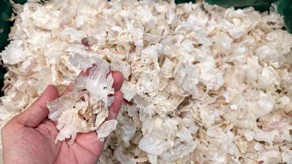 Kanserin panzehiri ikili: Şifası kokusunda, tümör savaşçısı