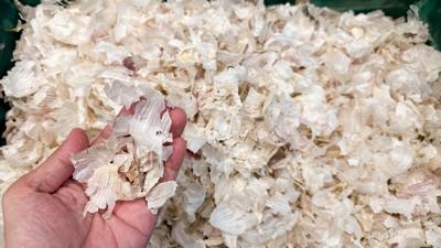 Kanserin panzehiri ikili: �ifas� kokusunda, t�m�r sava���s�