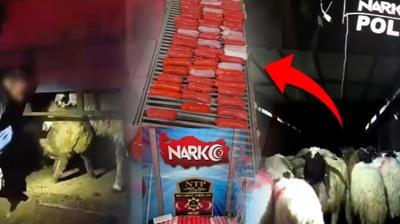 Siirt'te uyu�turucu operasyonu: 2 ��pheli g�zalt�na al�nd�