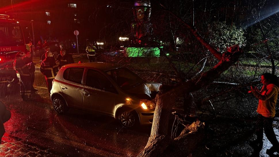 Edirne'de korkutan kaza... Seyir halindeki aracın üzerine ağaç devrildi