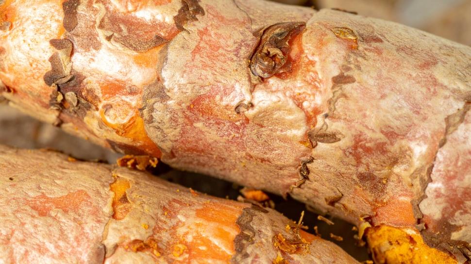 Kışın yardımcı besinleri: Bağışıklığı ayağa kaldırıyor