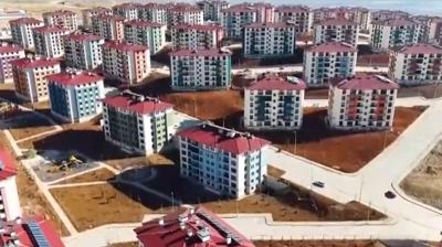 455 bin yuva tamam... Deprem b�lgesi k�llerinden yeniden do�du