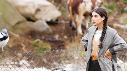 Kilo ald�k�a ta�acak bu deniz!