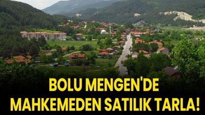 Bolu Mengen'de mahkemeden sat�l�k tarla!