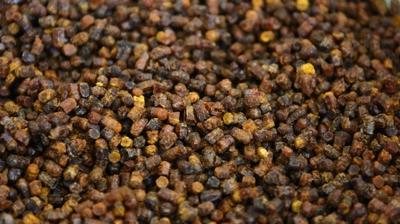 Test yapmadan t�ketmeyin! Alerjinizi tetikleyebilir