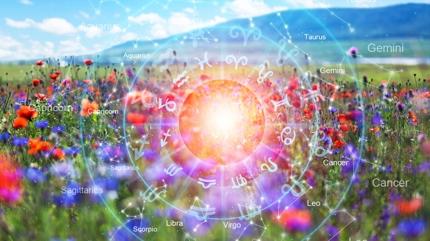 A�kta en ac�mas�z bur�lar: Akrep ba�� �ekiyor