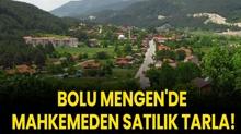 Bolu Mengen'de mahkemeden sat�l�k tarla!