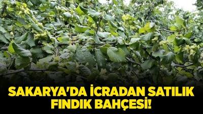 Sakarya Ferizli'de 5.816 metrekare icradan sat�l�k f�nd�k bah�esi!