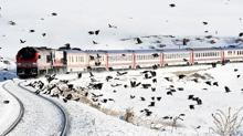 Raylar�n �st�nde masals� yolculuk... Turistik Do�u Ekspresi e�siz manzara sunuyor