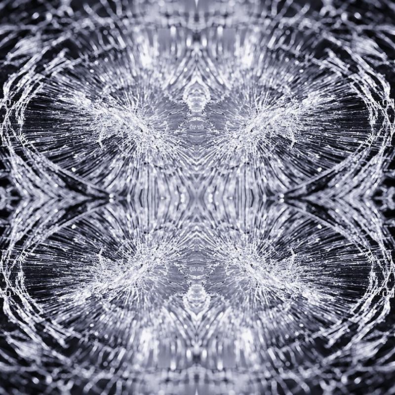 G�rsel zeka testi: Resimde hangi hayvan var? Hemen fark edenler analitik, g�remeyenler�