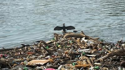 �evreyi kirletenlere verilecek cezalar a��kland�