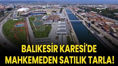 Bal�kesir Karesi'de mahkemeden sat�l�k tarla!