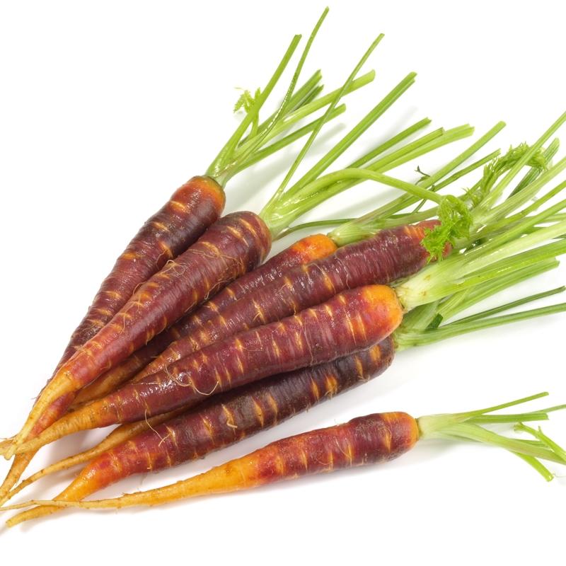 Kabu�u ��p de�il ila�... Kanserin �ifas� onda