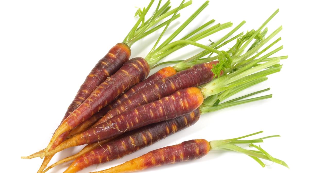 kanser kabuk sa�l�k foto�raflar� resimleri