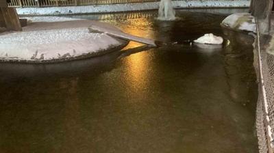 Ankara buz tuttu! Hava s�cakl��� eksi 11 dereceye kadar d��t�