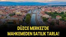 D�zce Merkez'de mahkemeden sat�l�k tarla!
