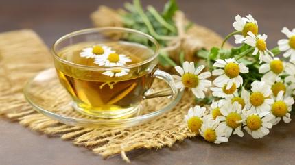 K���n papatya �ay� i�menin 5 faydas�