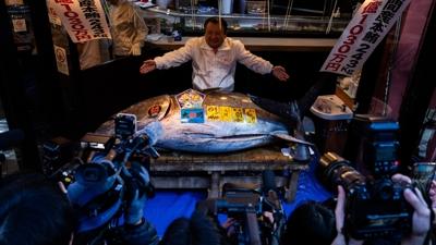 Ton Bal��� Kral�'n�n servet harcad��� bal�k