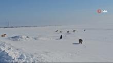 Bitlis'te ba��bo� sokak k�pekleri korku sa��yor