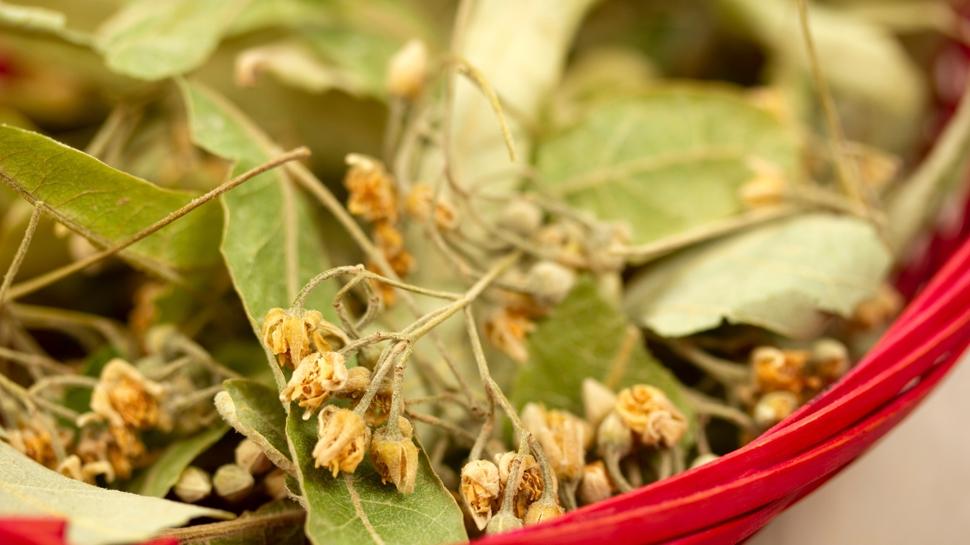 Ihlamuru b�yle t�keten zay�fl�yor: Ne ya� kal�yor ne g�bek