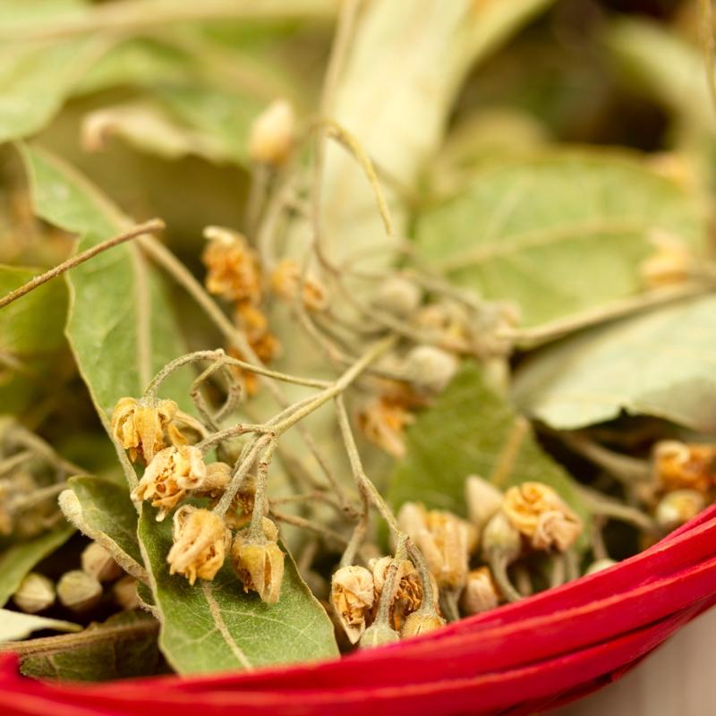 Ihlamuru b�yle t�keten zay�fl�yor: Ne ya� kal�yor ne g�bek